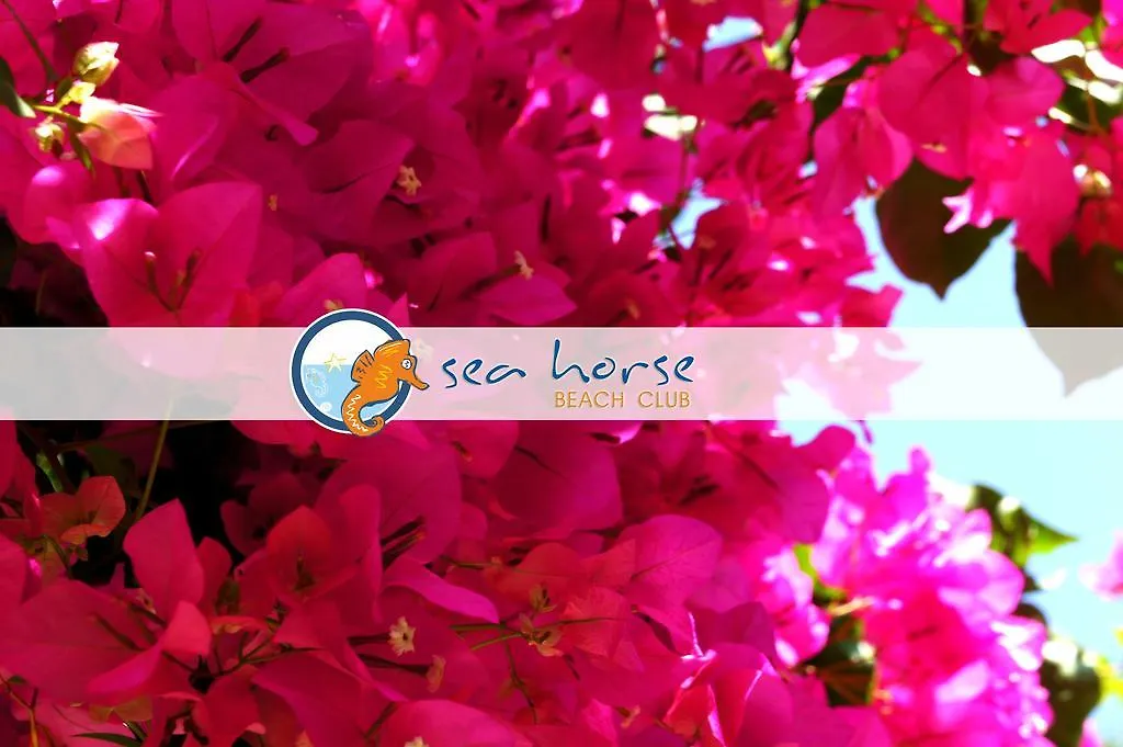 Hotel S3 Seahorse Beach Club Ölüdeniz